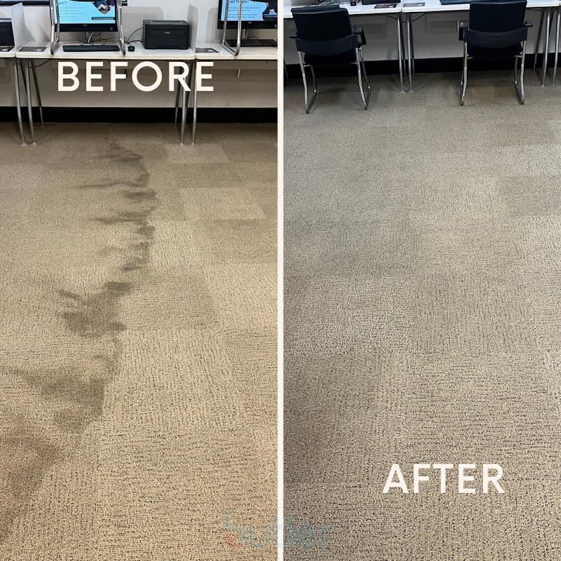 Butler Carpet Cleaning carpet cleaning work in Drummoyne