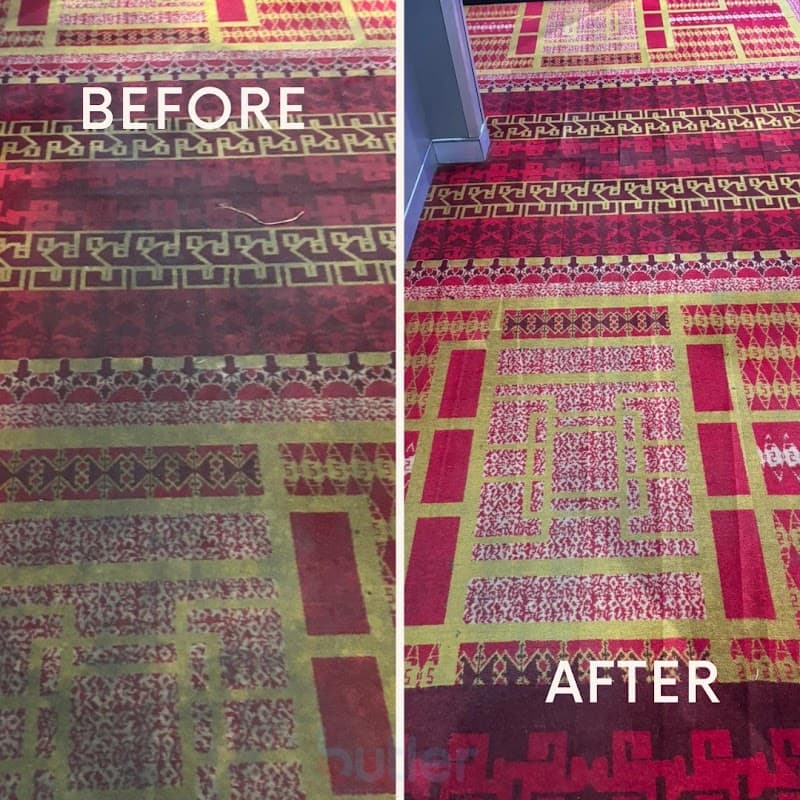 Butler Carpet Cleaning carpet cleaning work in Drummoyne