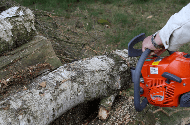 Caboolture Tree Removal North lakes tree services work in Kallangur