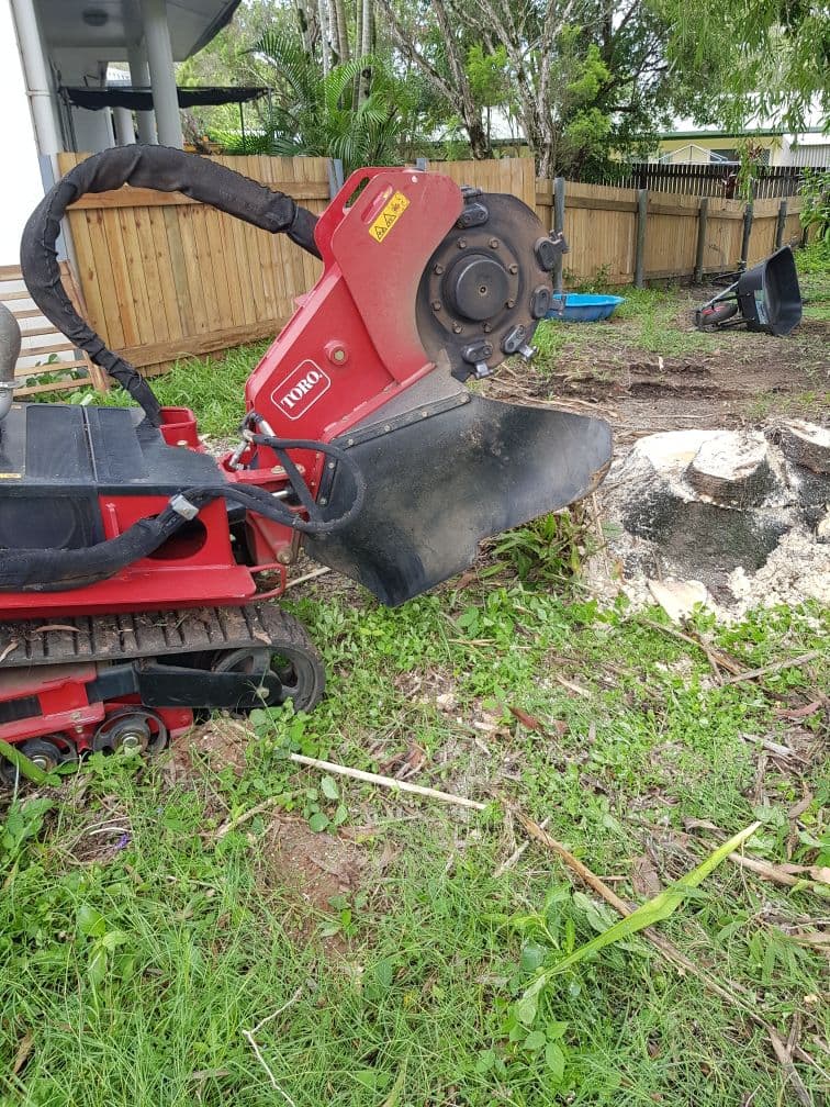 Cairns Garden & Tree Lopping Services gardening work in Parramatta Park