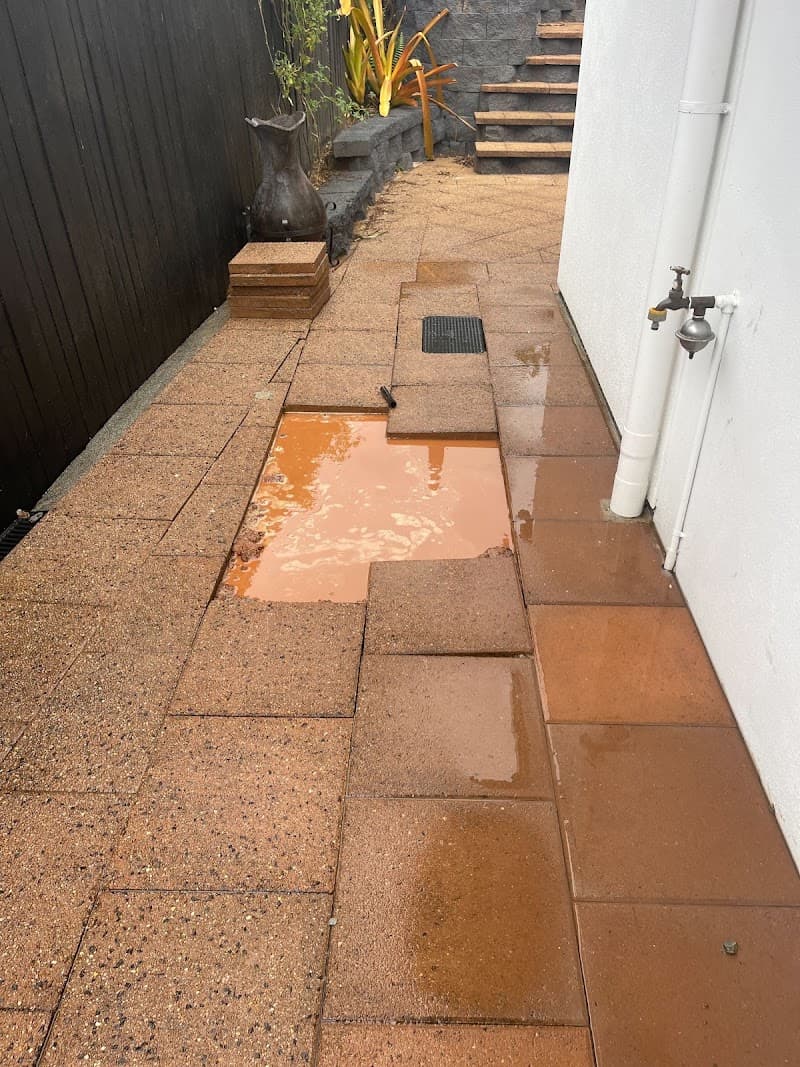 Cairns Leak Detection plumber work in Edmonton
