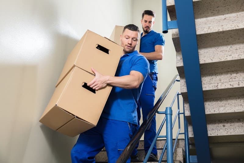 Cairns Mini Movers removalist work in Mount Sheridan