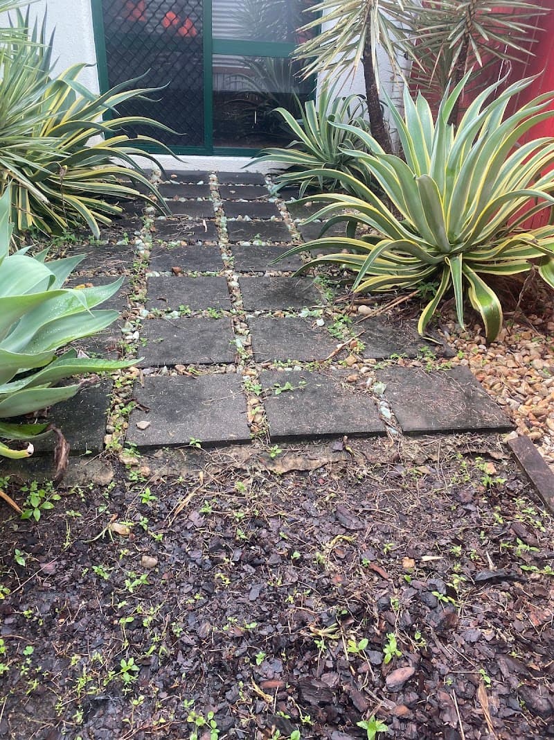 Cairns Property Service carpet cleaning work in Cairns City