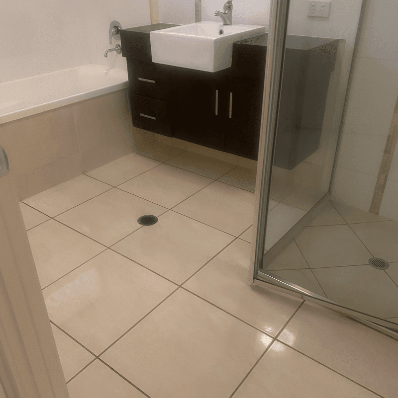 Cairns Property Service carpet cleaning work in Cairns City