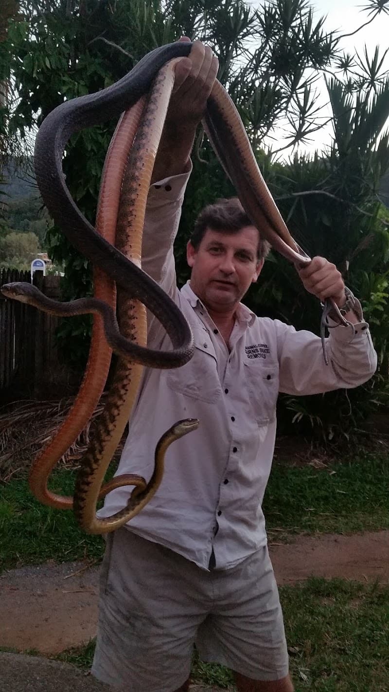 Cairns Snake Removals - Snake Catchers Cairns pest control work in Smithfield