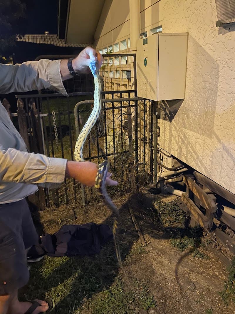 Cairns Snake Removals - Snake Catchers Cairns pest control work in Smithfield