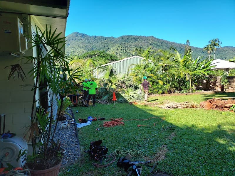 CAIRNS TREE FELLERS tree services work in Stratford