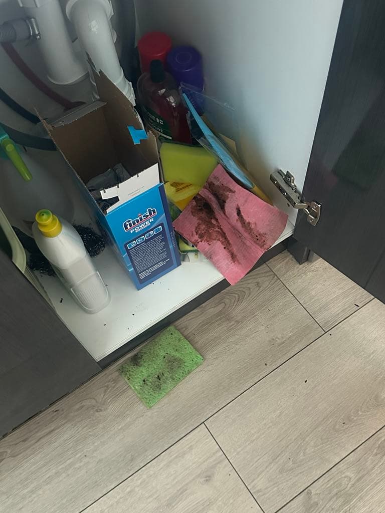 Calibre Cleaning - House Cleaning Adelaide cleaning work in Adelaide