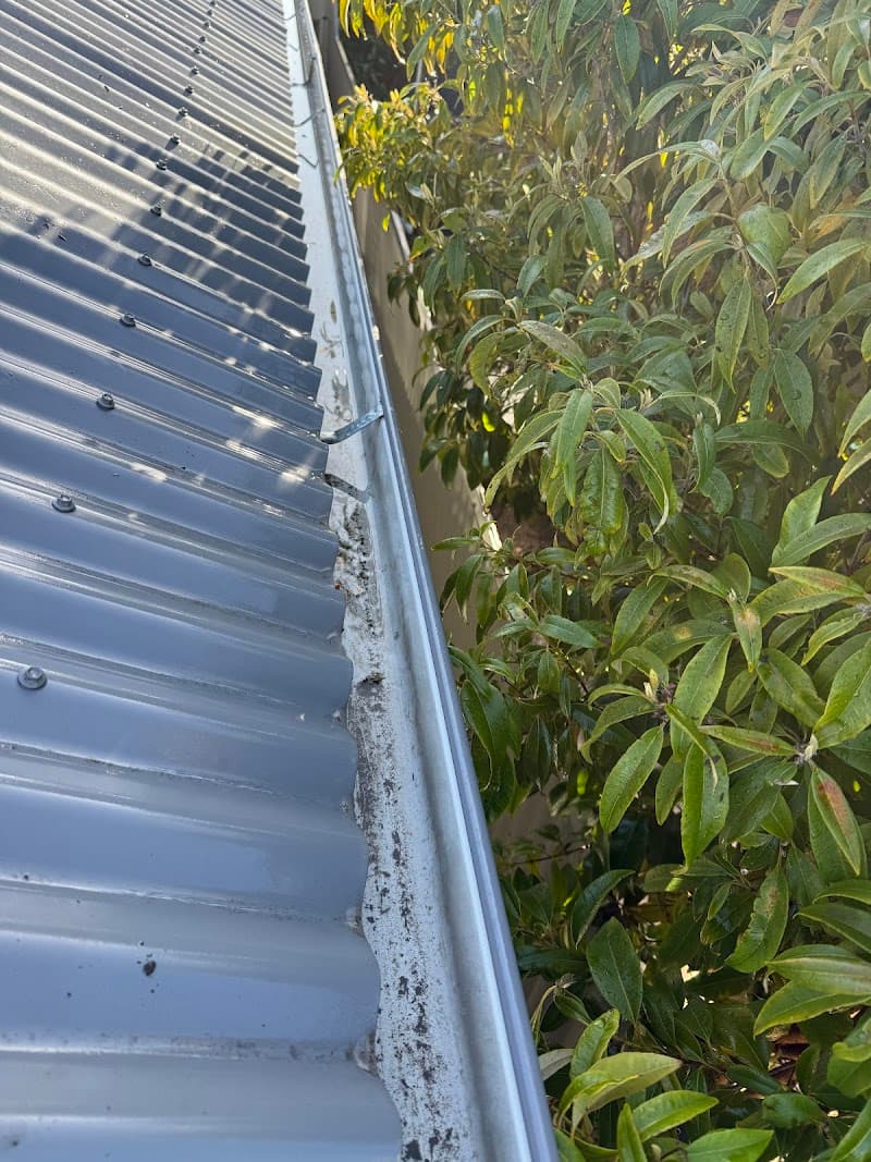 Calibre Exterior Cleaning pressure washing work in Prospect