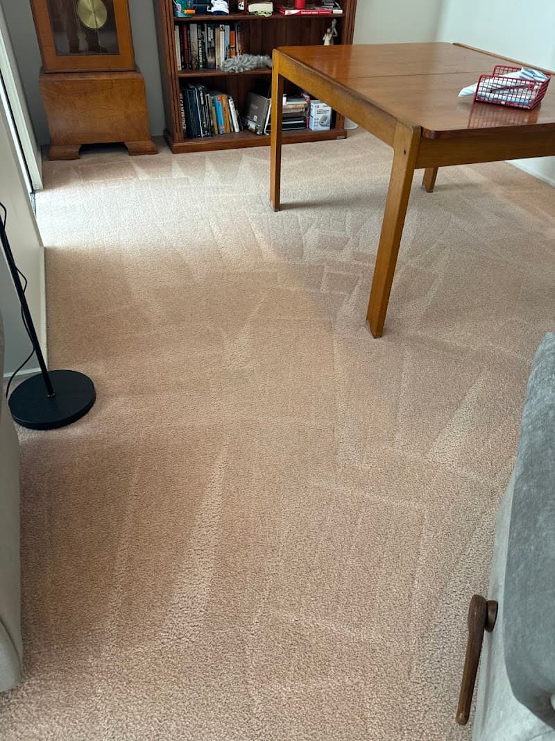 Canberra Carpet Cleaning Deals - Carpet Cleaning Canberra | Upholstery Cleaning Canberra carpet cleaning work in Taylor
