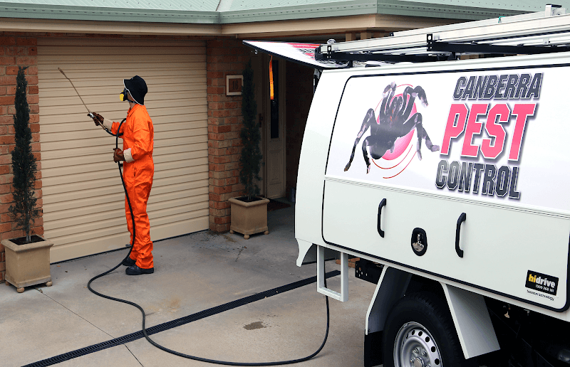 Canberra Pest Control pest control work in Mitchell