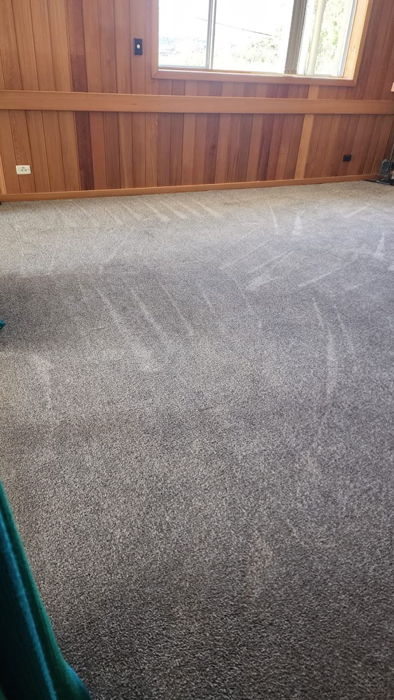 CanClean cleaning work in Braddon