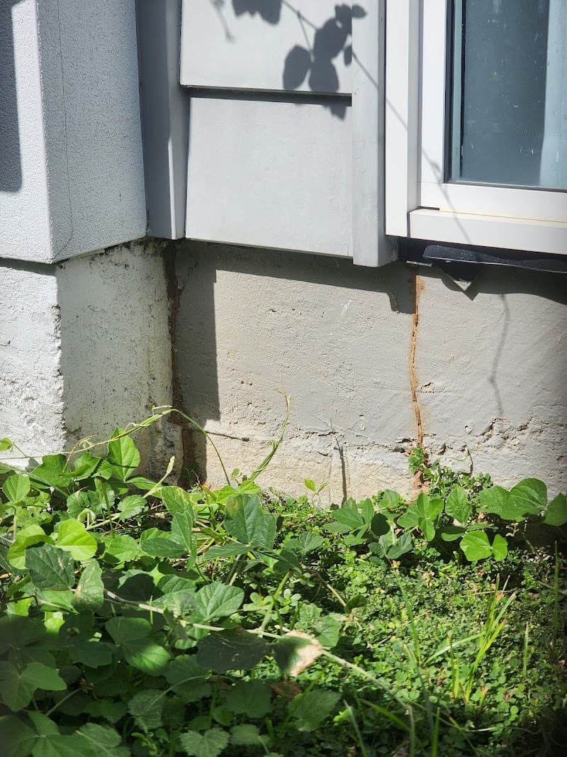 Canfield Pest Control pest control work in Alexandra Hills