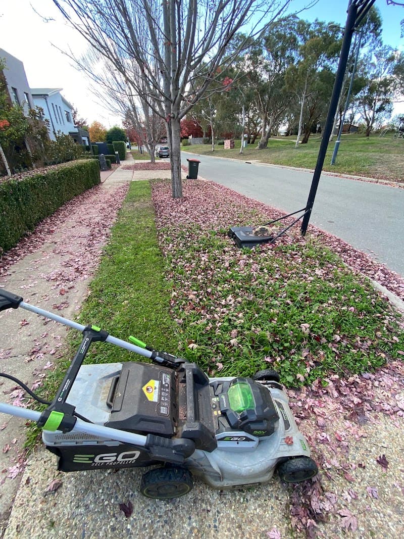Canmow – Garden & Lawn Service Canberra lawn care work in Amaroo