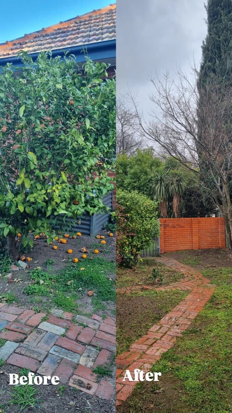 Canmow – Garden & Lawn Service Canberra lawn care work in Amaroo