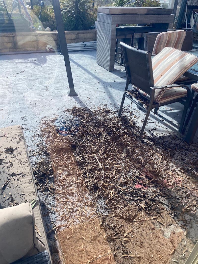 Capital Gutter Cleaning gutter cleaning work in Canberra
