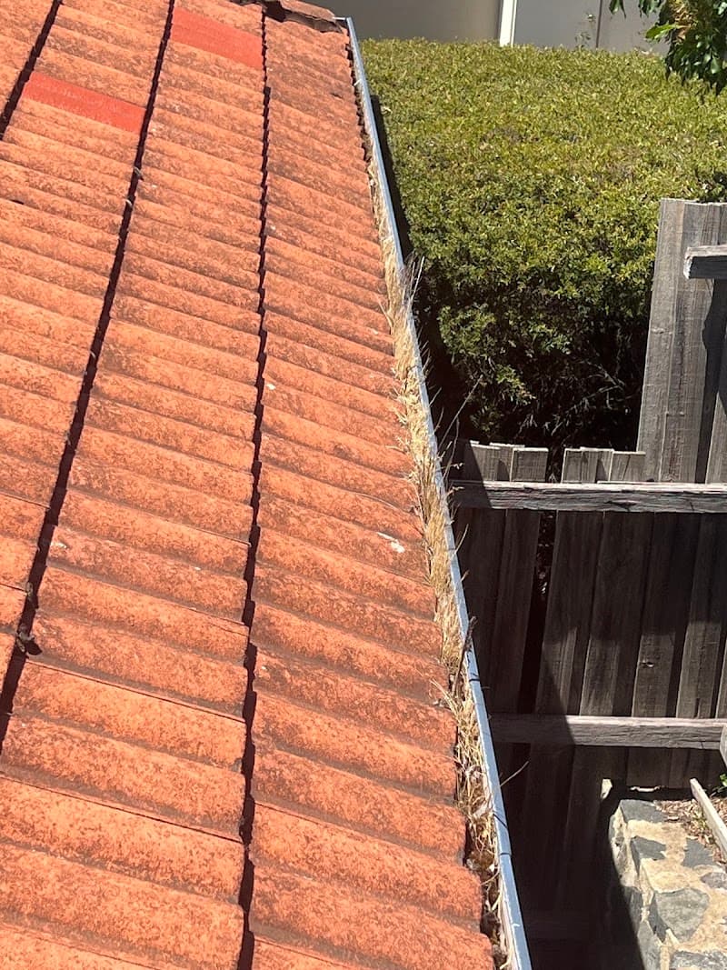 Capital Gutter Cleaning gutter cleaning work in Canberra