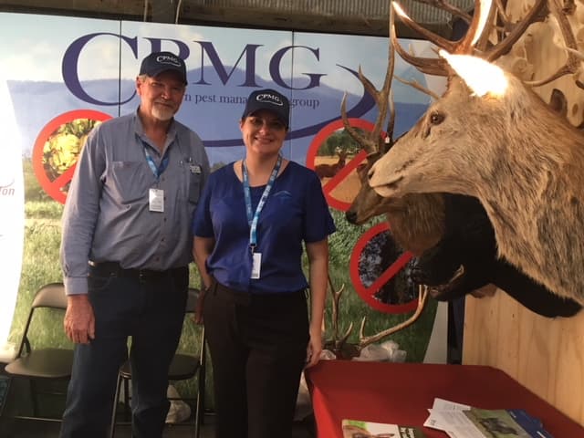 Capricorn Pest Management Group pest control work in Gracemere