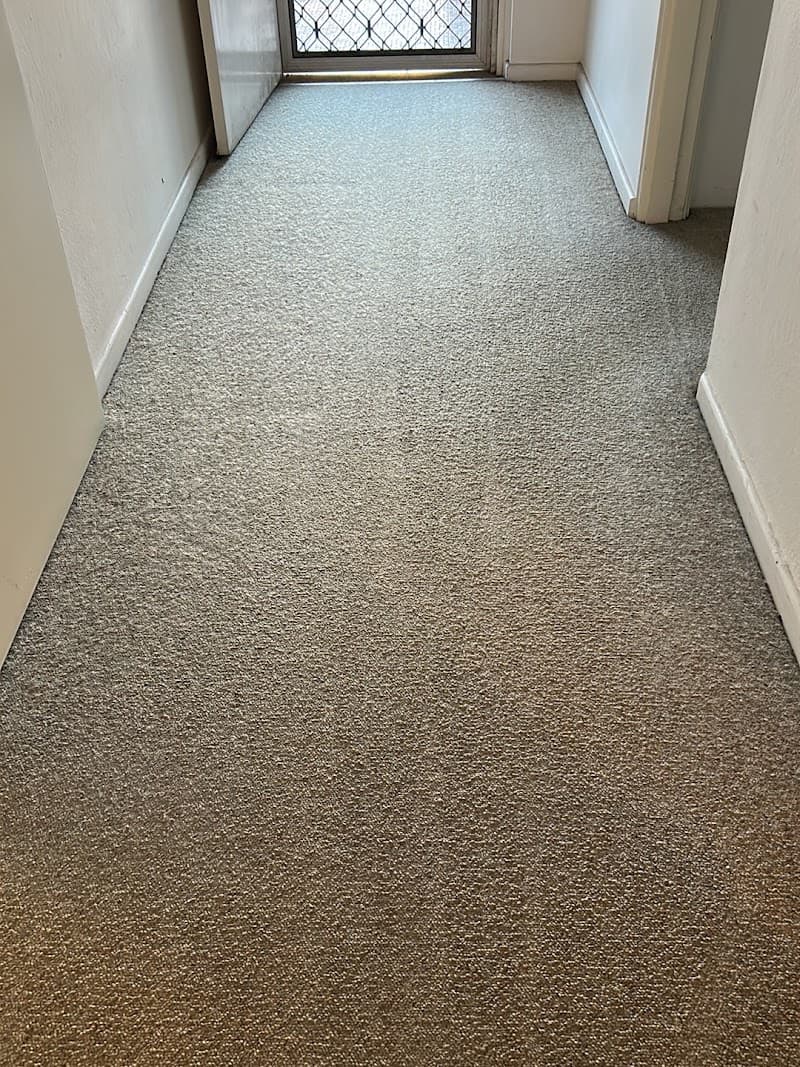 Captain Carpet Cleaning carpet cleaning work in Greystanes