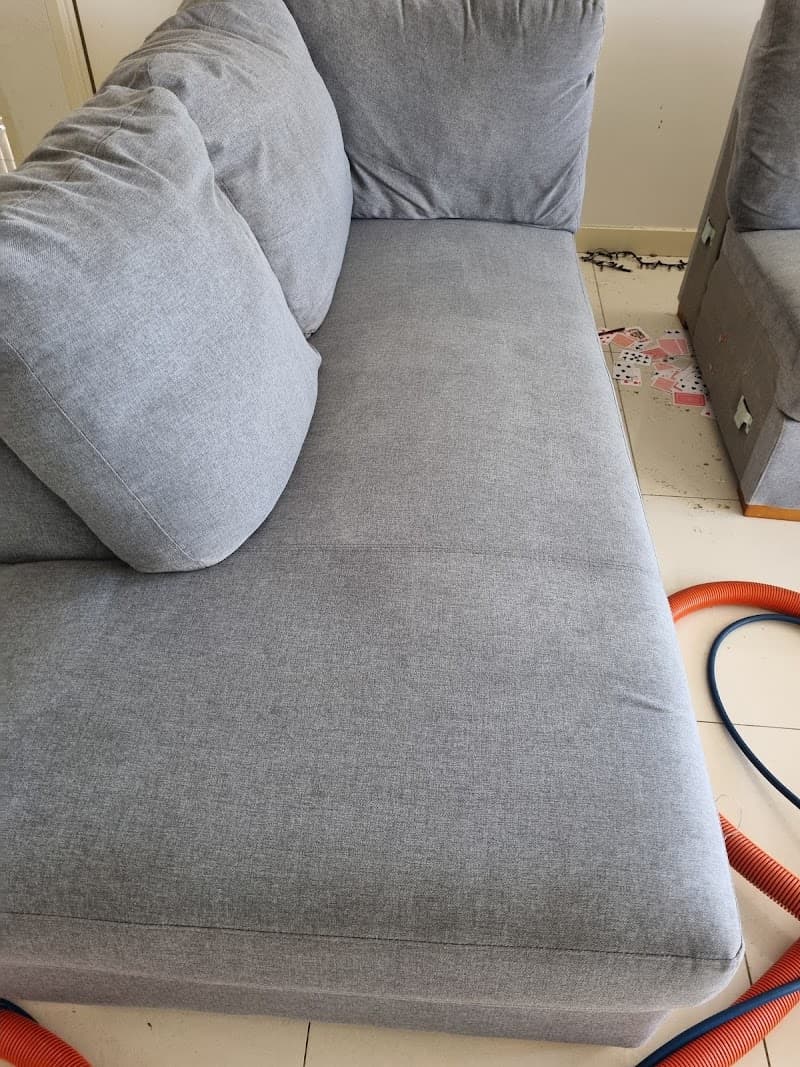 Captain Carpet Cleaning carpet cleaning work in Greystanes