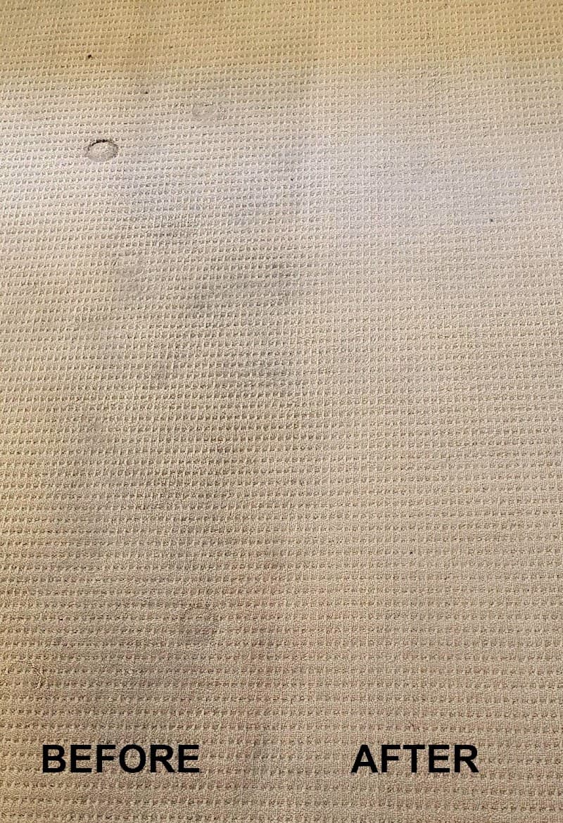 Captain Carpet Cleaning carpet cleaning work in Greystanes