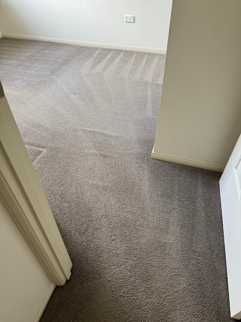 Carpestology carpet cleaning work in Camp Hill