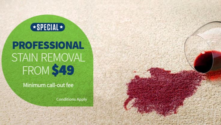 Carpestology carpet cleaning work in Camp Hill