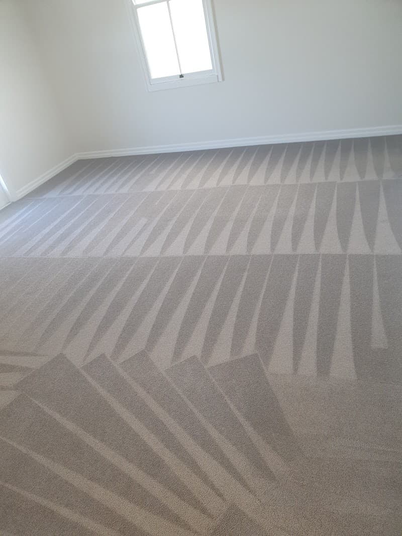 Carpestology carpet cleaning work in Camp Hill
