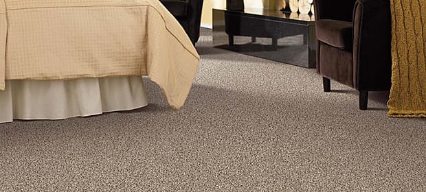 Carpet 2 Couch carpet cleaning work in Railway Estate