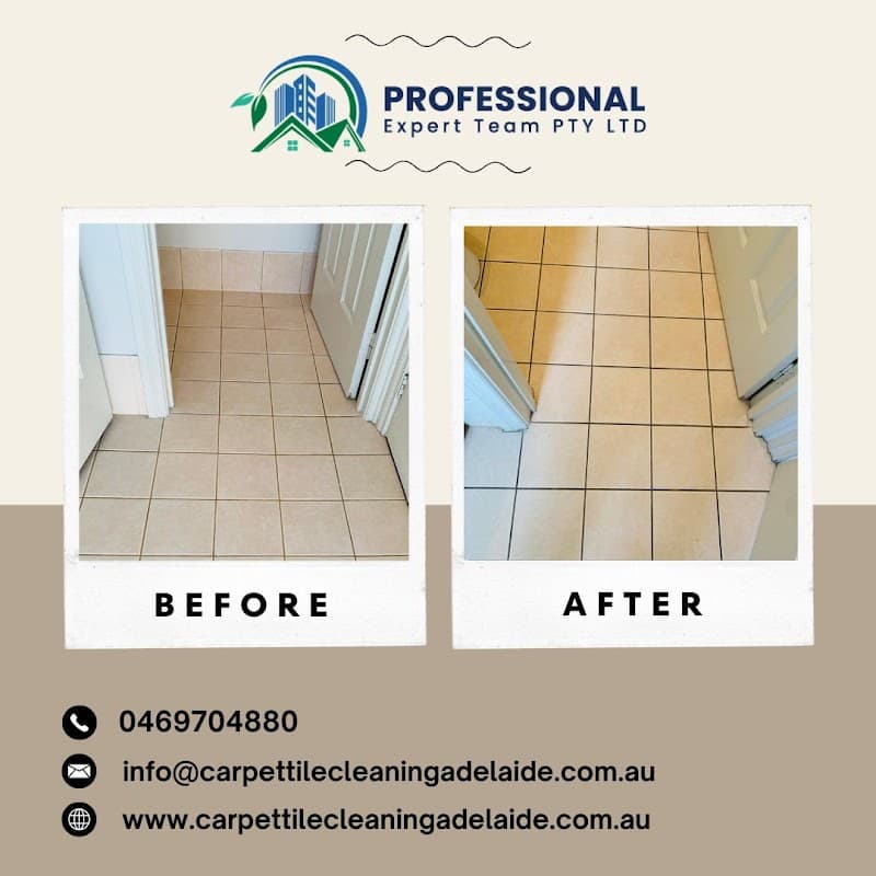 Carpet And Tile Cleaning Adelaide carpet cleaning work in Ascot Park