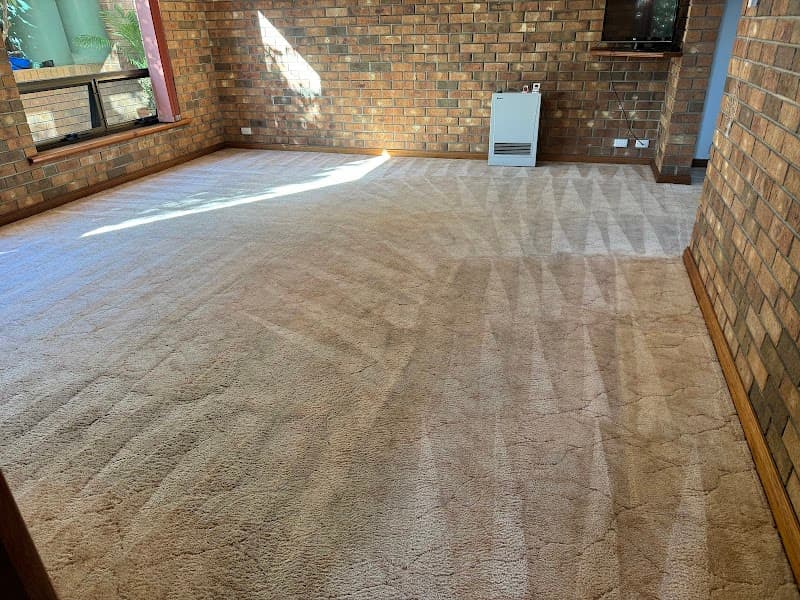 Carpet And Tile Cleaning Adelaide carpet cleaning work in Ascot Park