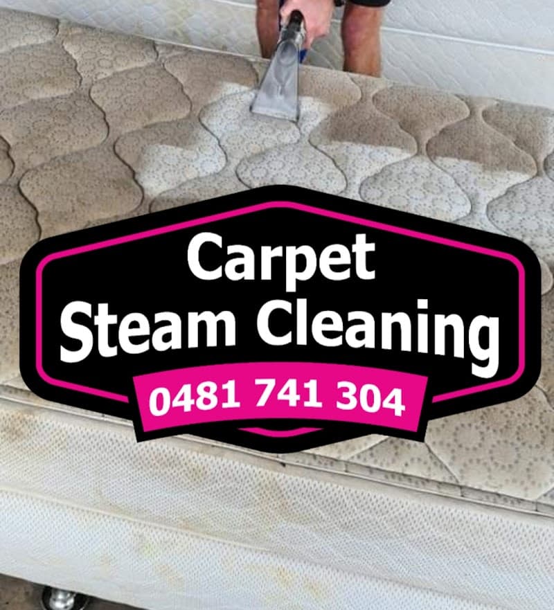 Carpet Cleaner Ipswich carpet cleaning work in Bundamba