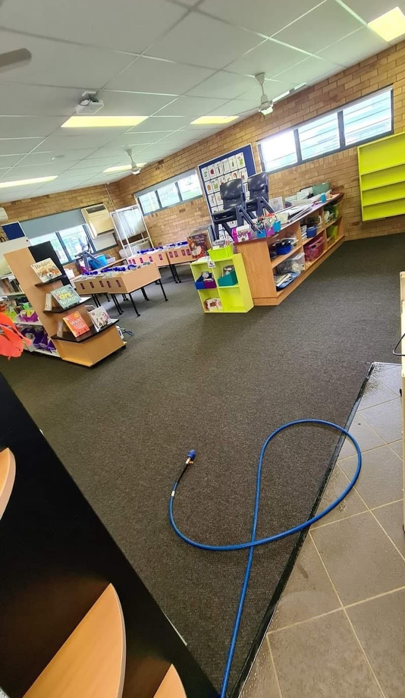 Carpet Cleaner Ipswich carpet cleaning work in Bundamba