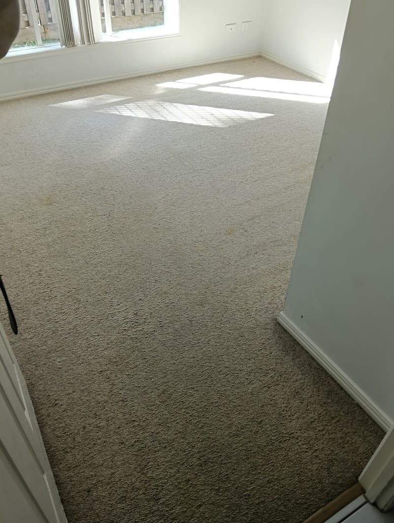 Carpet Cleaner Ipswich carpet cleaning work in Bundamba