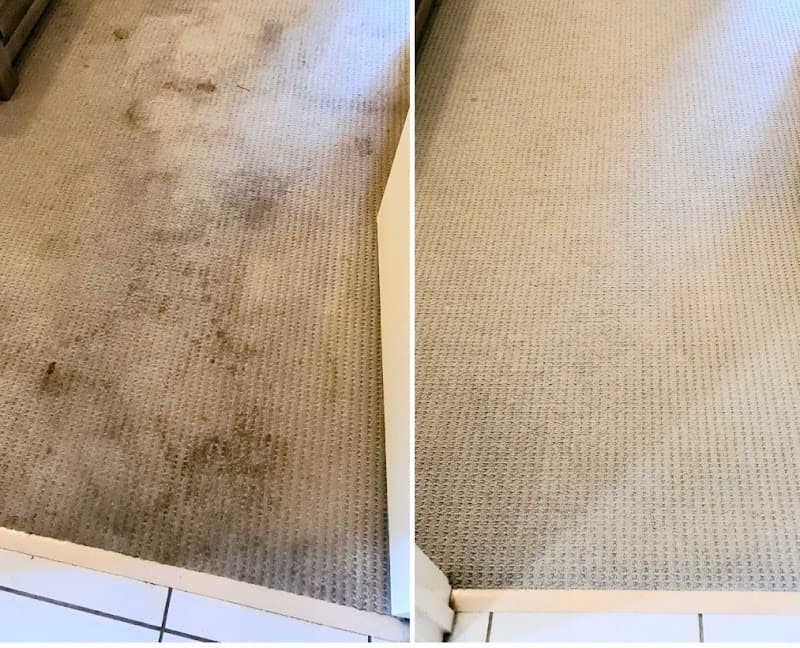 Carpet Cleaner Ipswich carpet cleaning work in Bundamba