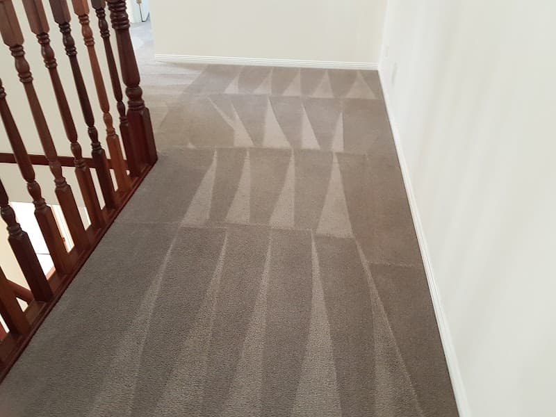 Carpet Cleaning & Pest Control Springfield Lakes carpet cleaning work in Springfield Lakes