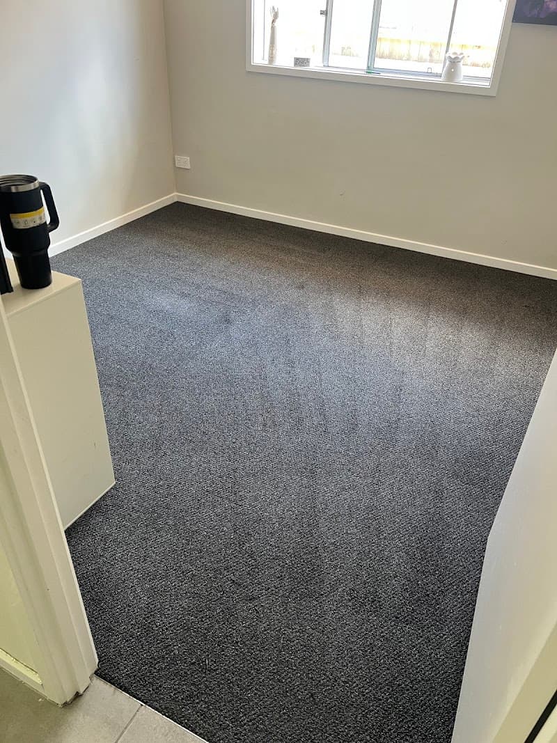 Carpet Cleaning & Pest Control Springfield Lakes carpet cleaning work in Springfield Lakes