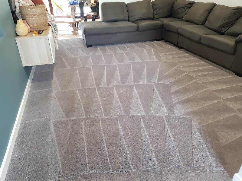 Carpet Cleaning & Pest Control Springfield Lakes carpet cleaning work in Springfield Lakes