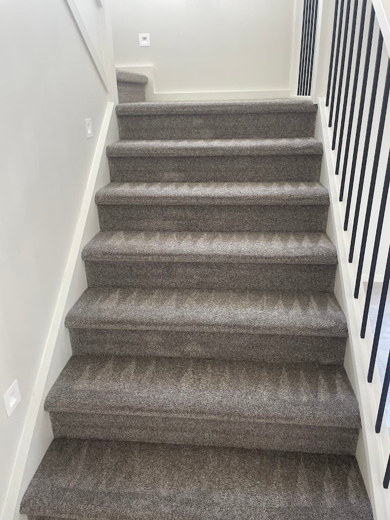 Carpet Cleaning & Pest Control Springfield Lakes carpet cleaning work in Springfield Lakes
