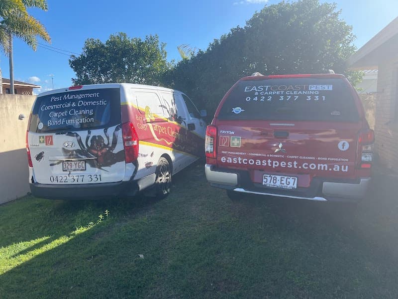 Carpet Cleaning - East Coast Carpet & Pest carpet cleaning work in Mooloolaba