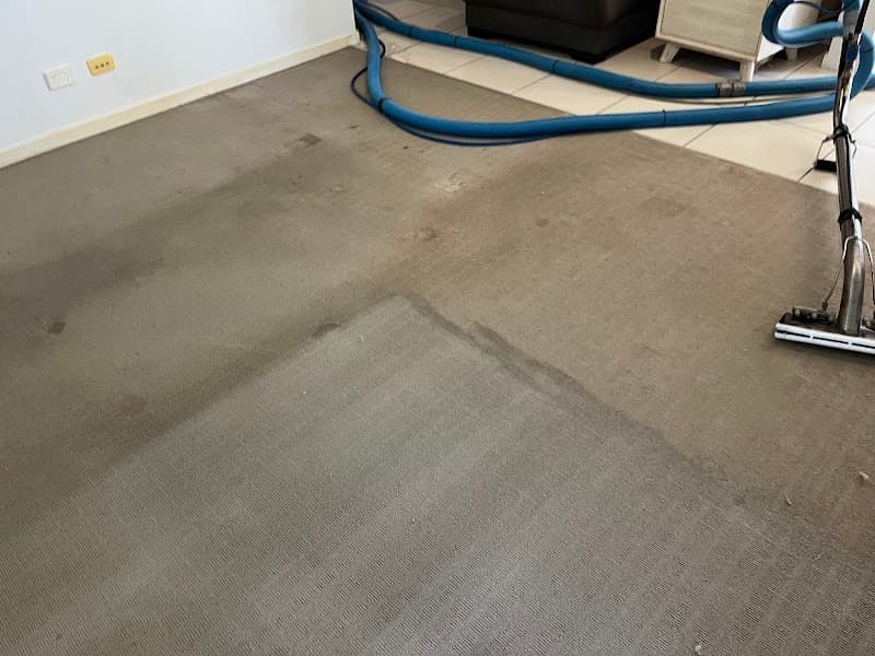Carpet Cleaning - East Coast Carpet & Pest carpet cleaning work in Mooloolaba