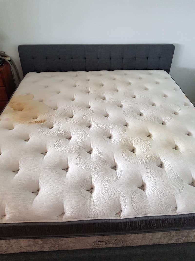 Carpet Cleaning Hervey Bay carpet cleaning work in Craignish