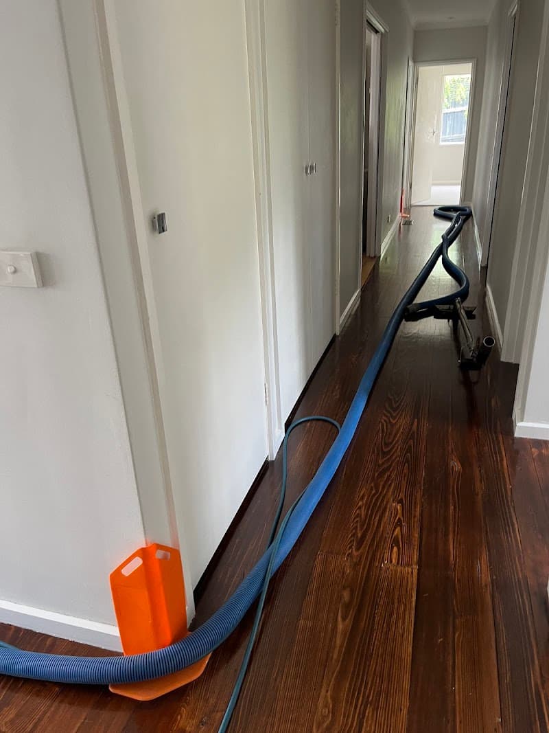 Carpet Cleaning Mornington Peninsula carpet cleaning work in Mornington