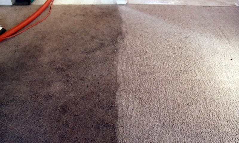 Carpet Cleaning North West carpet cleaning work in Stony Rise