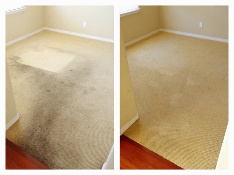 Carpet Cleaning North West carpet cleaning work in Stony Rise