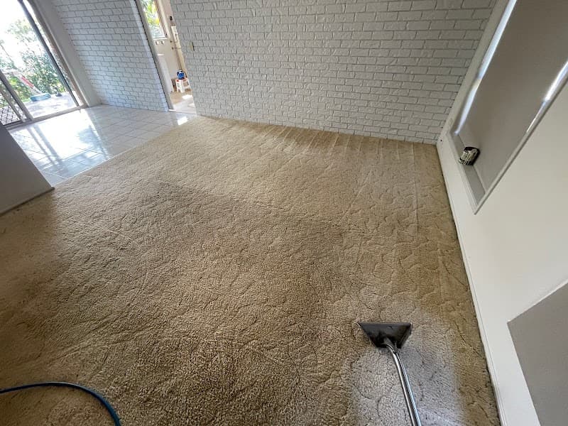 Carpet Ninja and Pest Control Gold Coast carpet cleaning work in Surfers Paradise