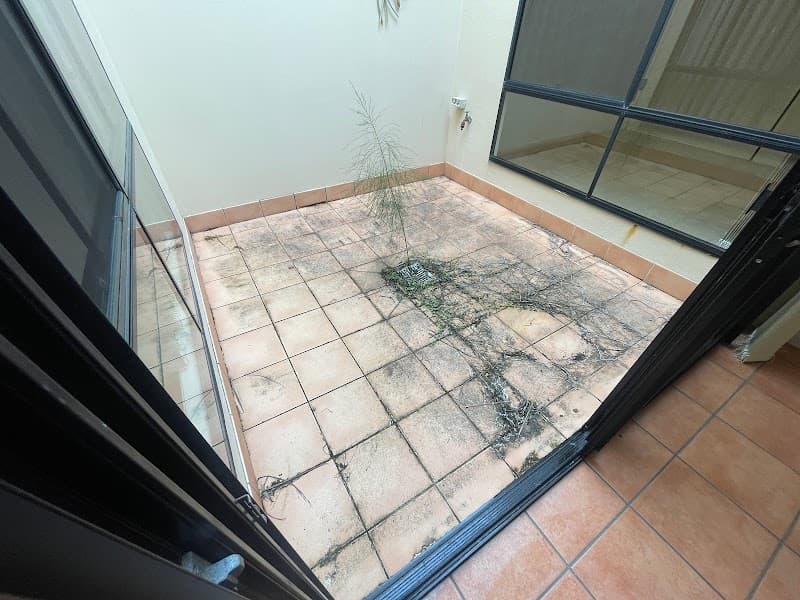 Carpet Ninja and Pest Control Gold Coast carpet cleaning work in Surfers Paradise