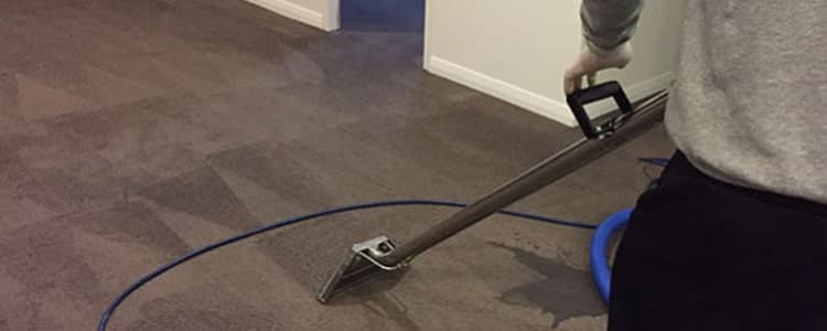 Carpet Steam Cleaning Toowoomba carpet cleaning work in Toowoomba City