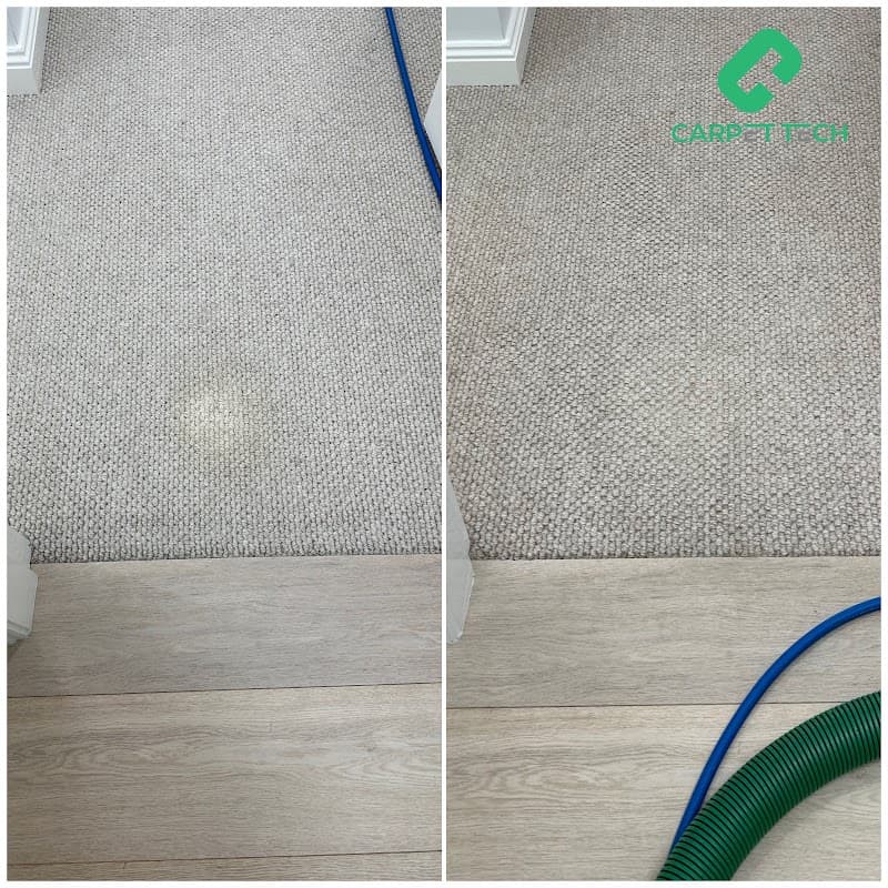 Carpet Tech - Miranda carpet cleaning work in Miranda