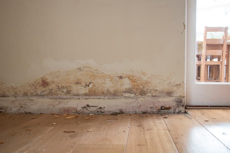 CBK Waterproofing waterproofing work in Frenchs Forest